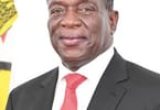 Emmerson Mnangagwa Official Portrait cropped
